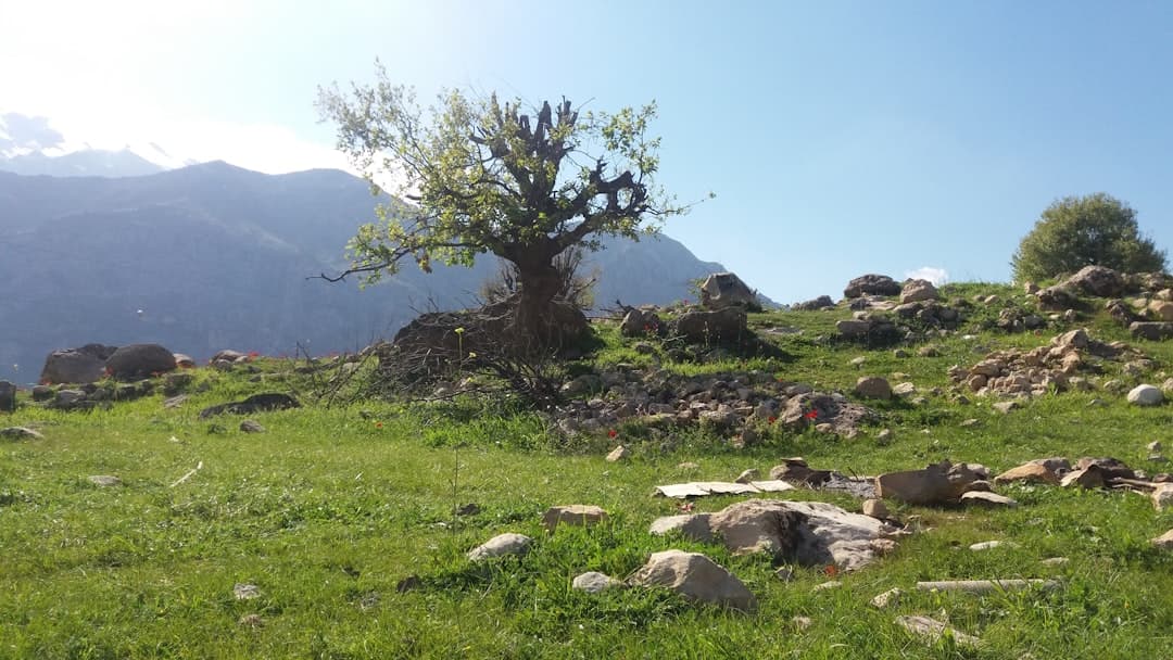 Iran’s Natural Wonders Off the Beaten Path