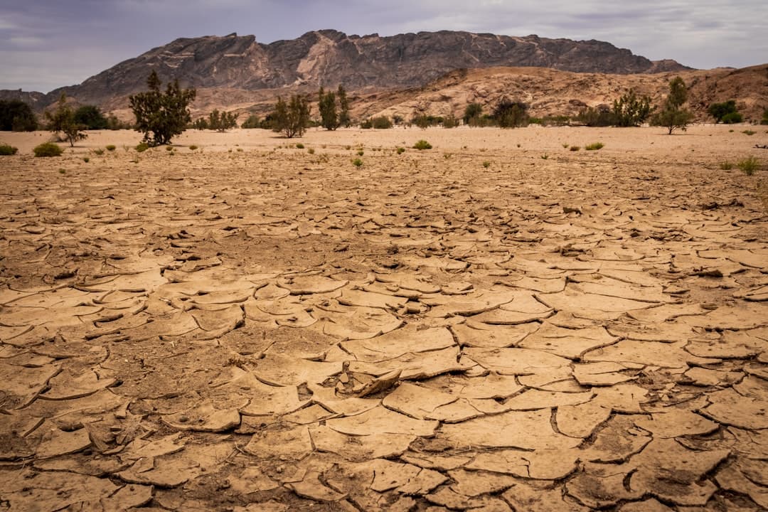Desert Nations Turn to Water Science as Scarcity Pressures Mount Across the Region